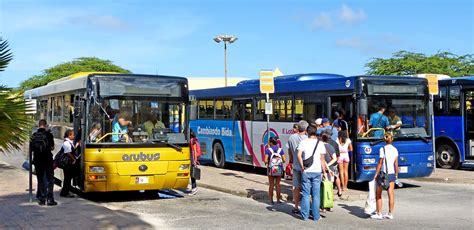 bottom dollar aruba bus system